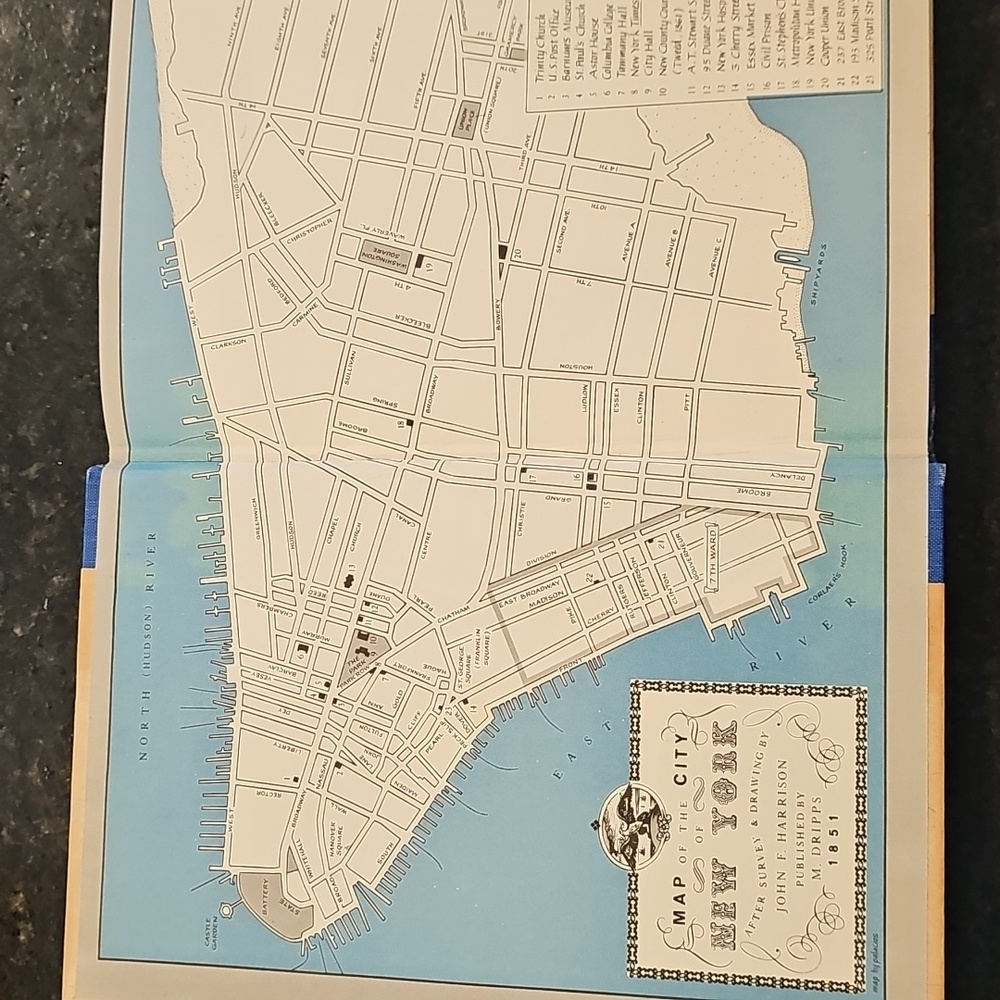 Vintage 1977 "Tweed's New York: Another Look" by Leo Hershkowitz - Picture 9 of 14